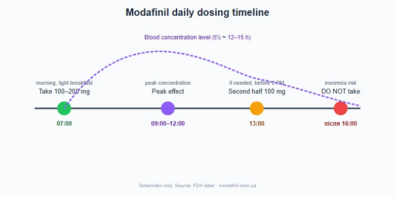 Modafinil morning dosage schedule throughout the day