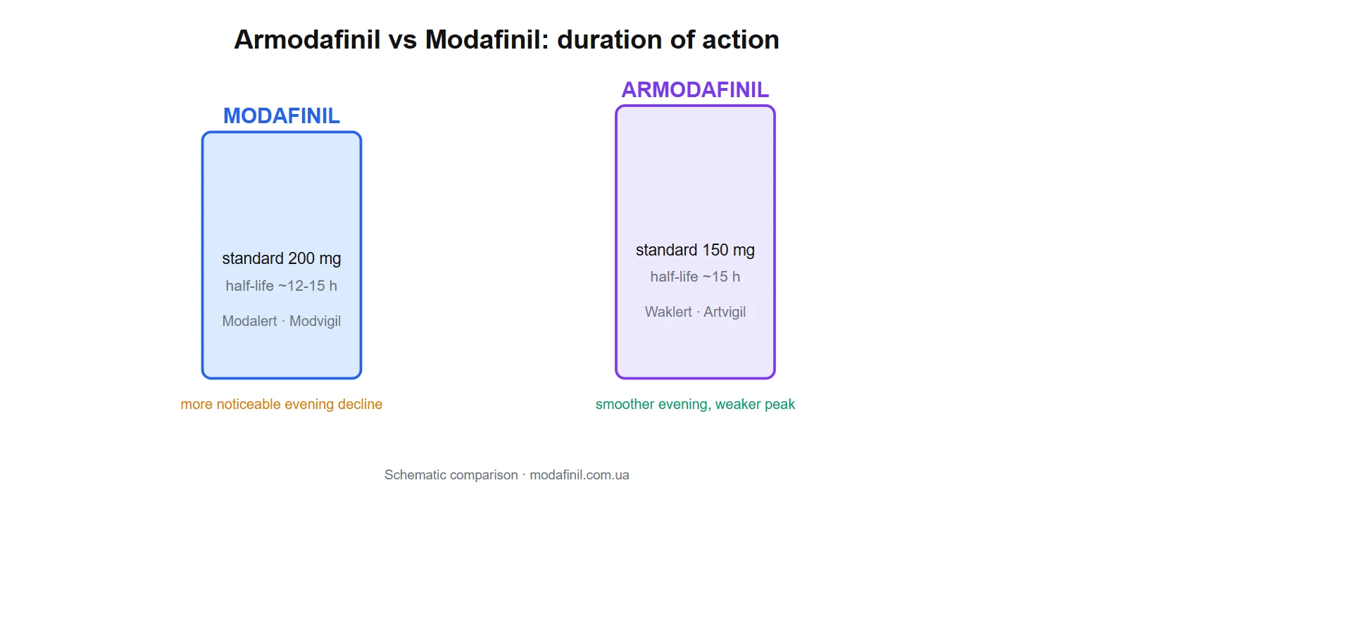 armodafinil vs modafinil half-life comparison