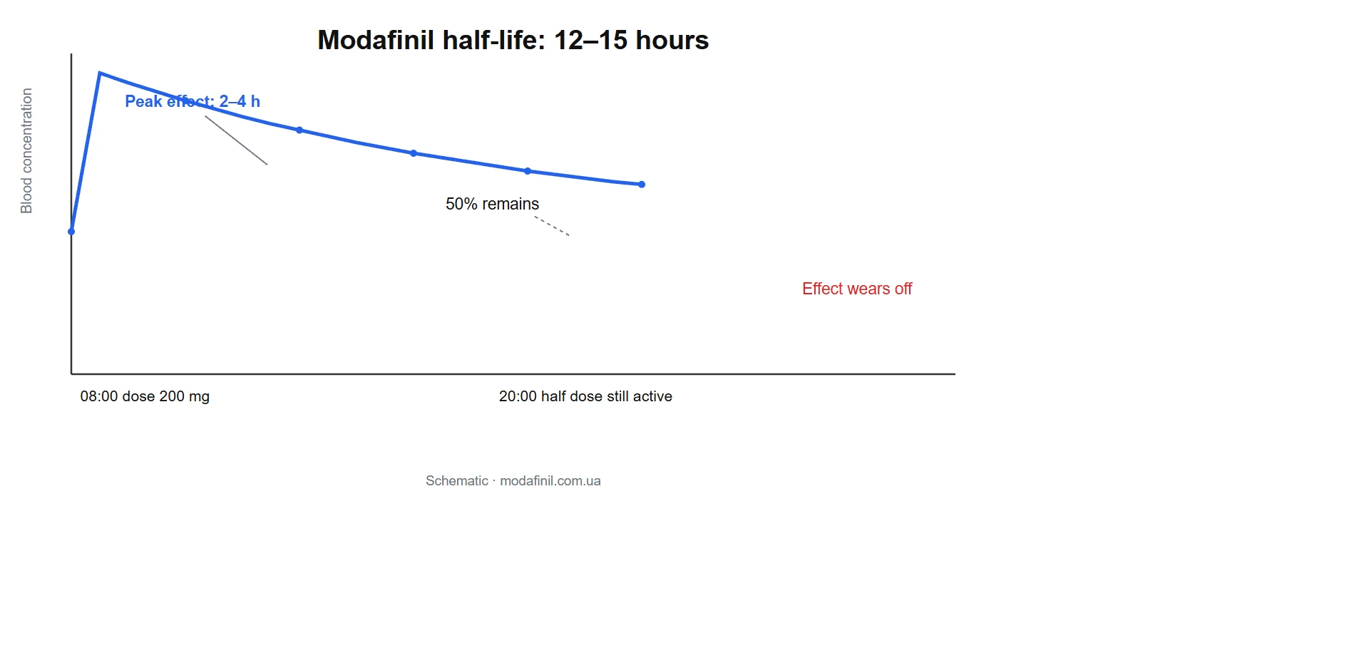 modafinil half-life: modafinil duration curve 12-15 hours