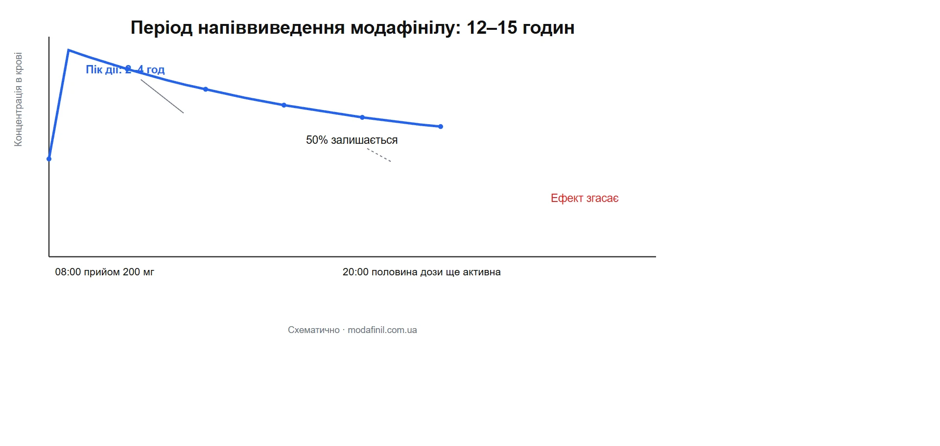 період напіввиведення модафінілу: графік дії модафінілу 12-15 годин