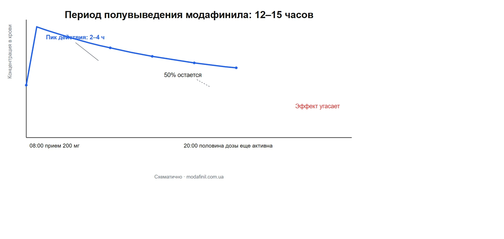 период полувыведения модафинила: график действия модафинила 12-15 часов